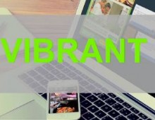 Vibrant Media General Sizzle